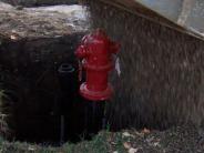 Fire Hydrant Picture 7