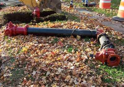Fire Hydrant Picture 1